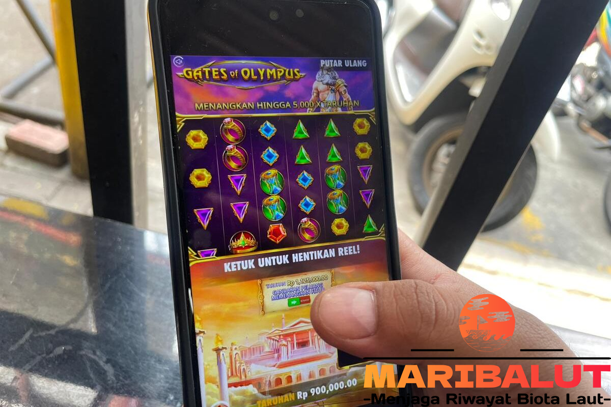 Slot Online Paling Menguntungkan 2024: Tips dan Trik Profesional