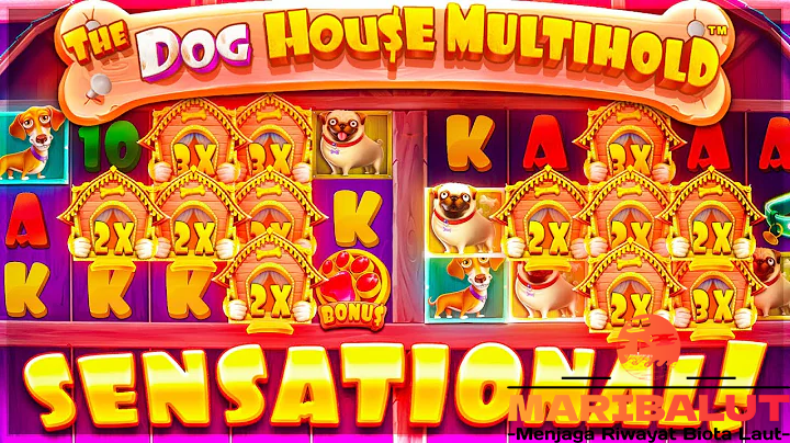 The Dog House Multihold Gacor 2024: Tips Jackpot Terbaik