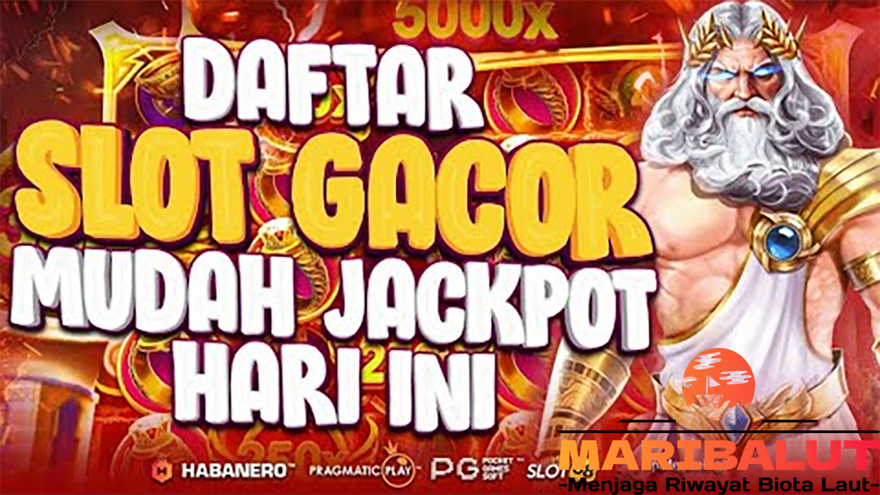 Mengapa Slot Gacor Terbaru Menjadi Pilihan Utama Pemain?