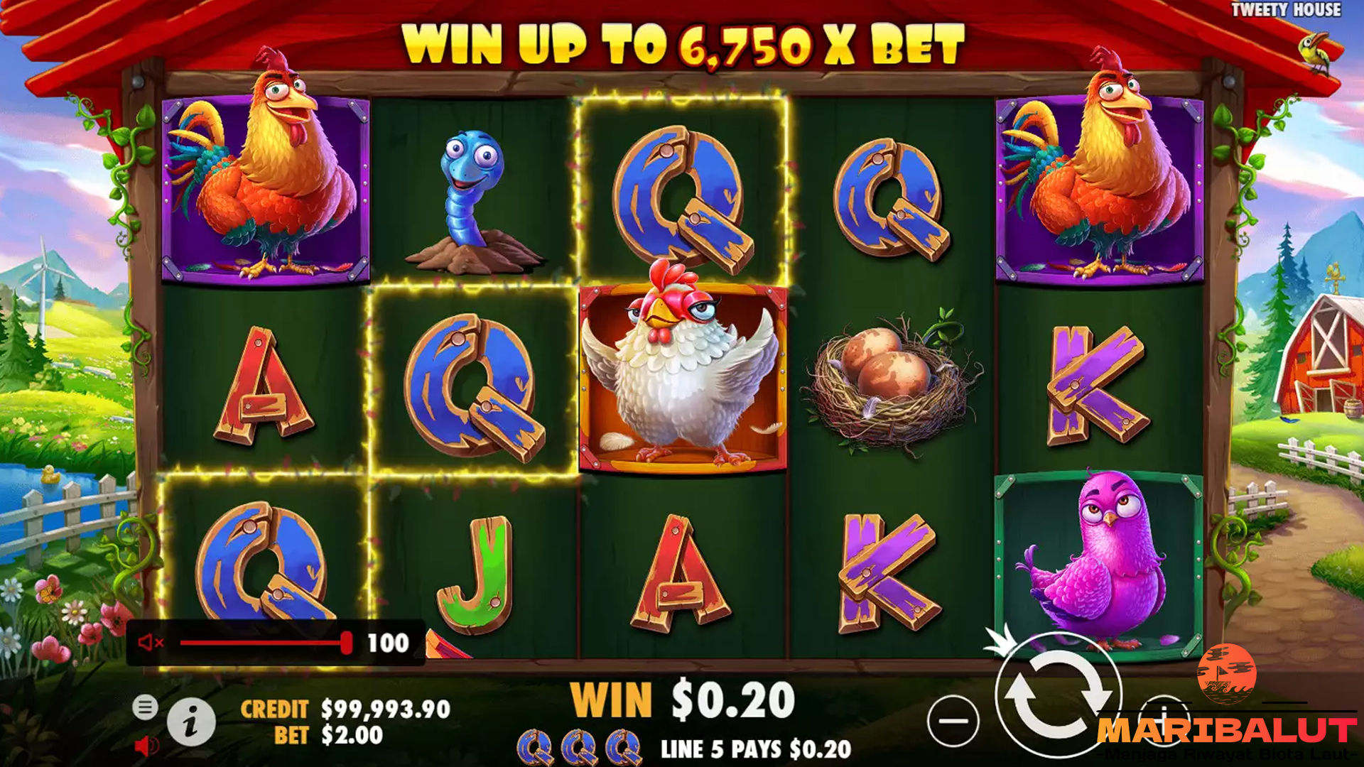 Slot The Tweety House: Terbang Menuju Kemenangan Besar