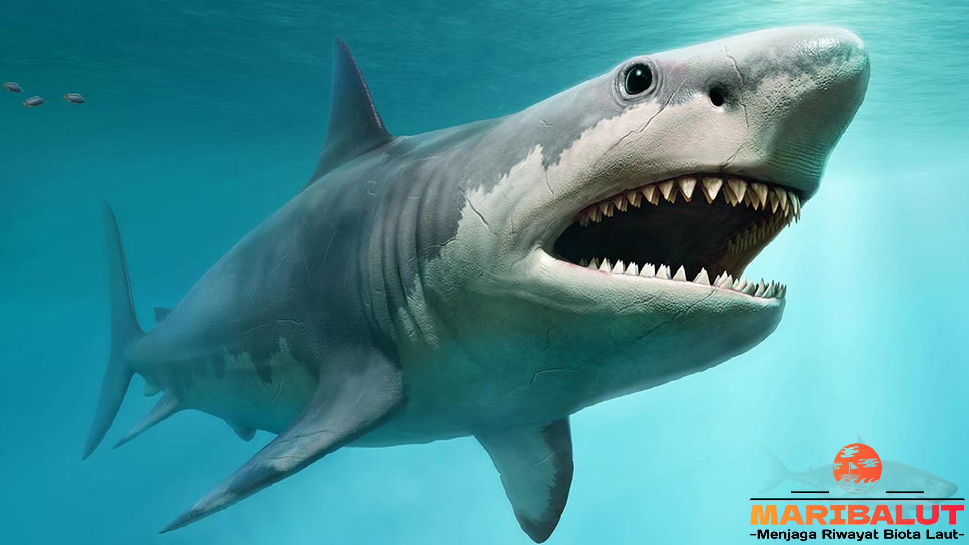 Megalodon, Hiu Prasejarah yang Menginspirasi Legenda Laut