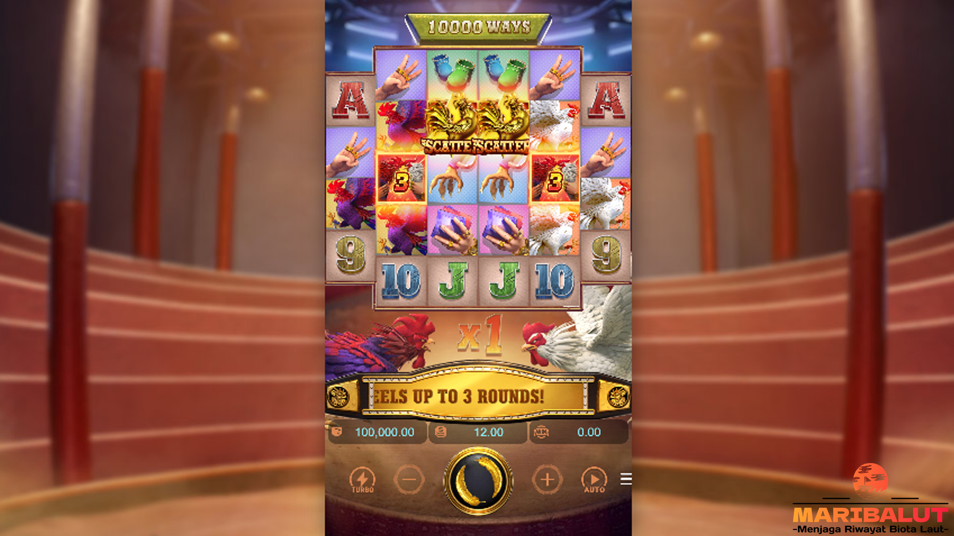 Rooster Rumble: Petarungan Seru dengan Hadiah Menggiurkan