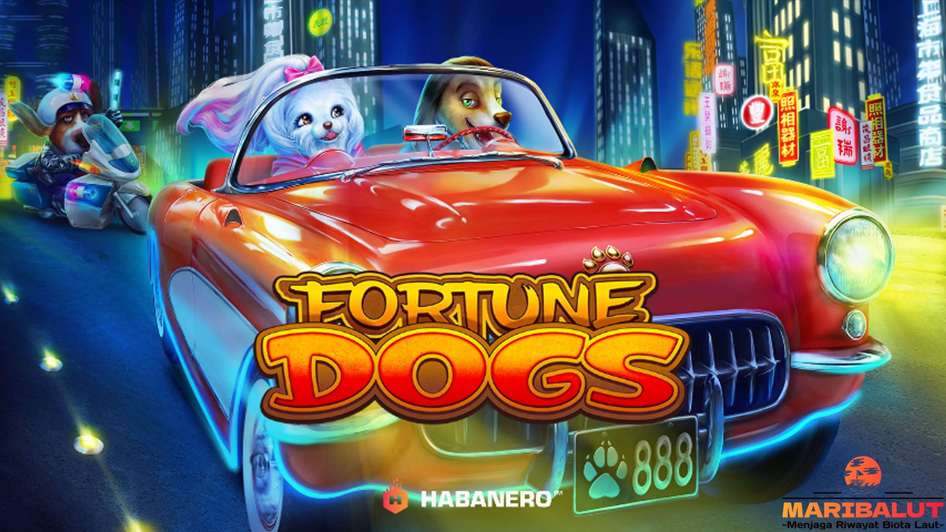 Fortune Dogs: Raih Keberuntungan dari Anjing Pembawa Rezeki