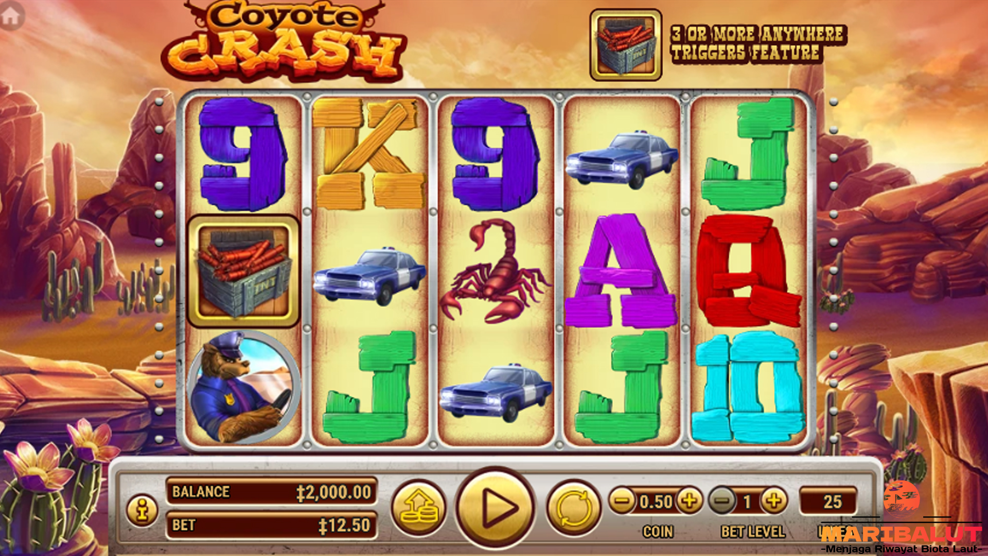 Slot Coyote Crash: Sensasi Baru dalam Dunia Judi Online