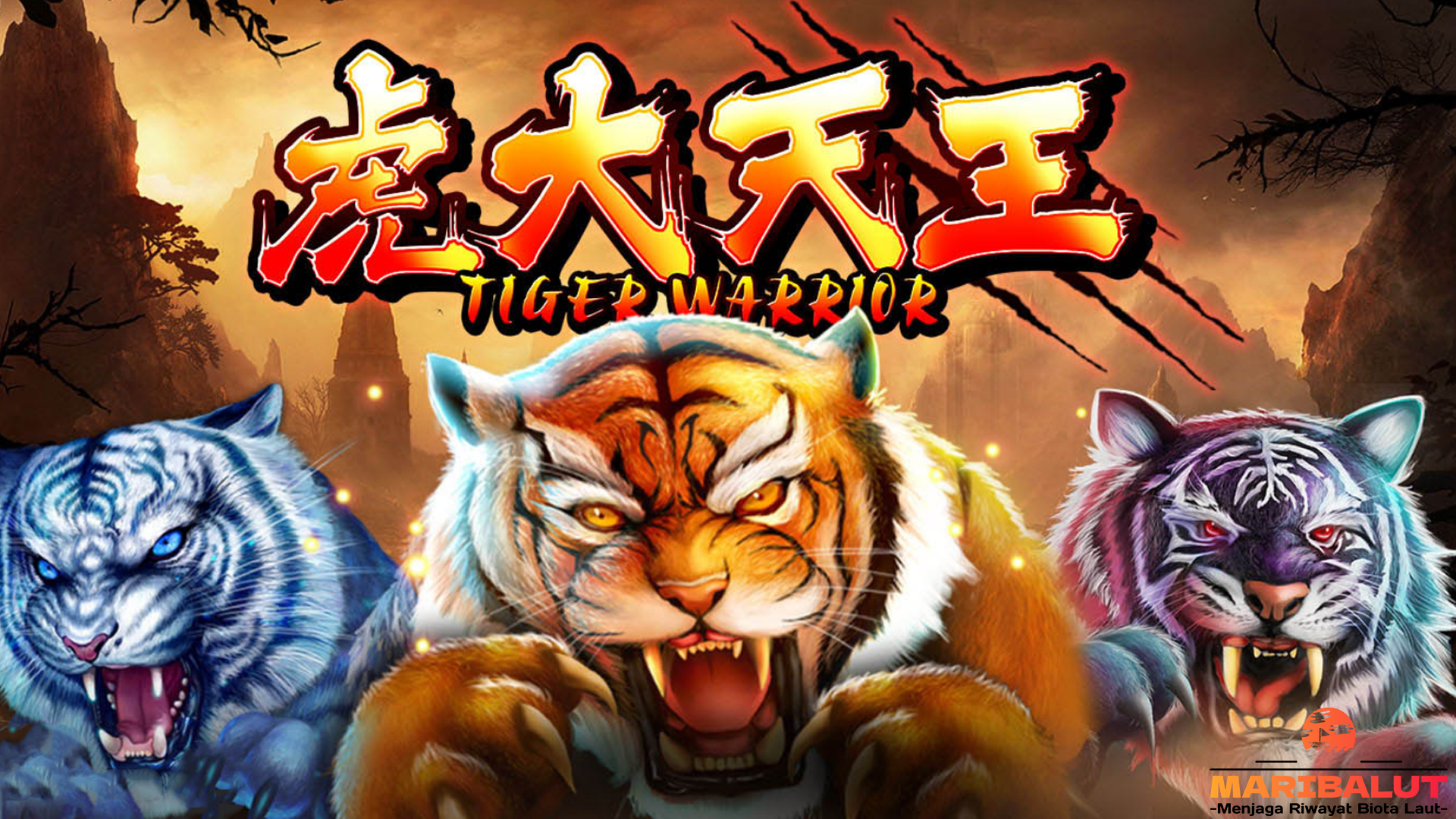 Rtp Cnnslot Tiger Warrior Terbaru 2025 Wajib Main di Jam Ini