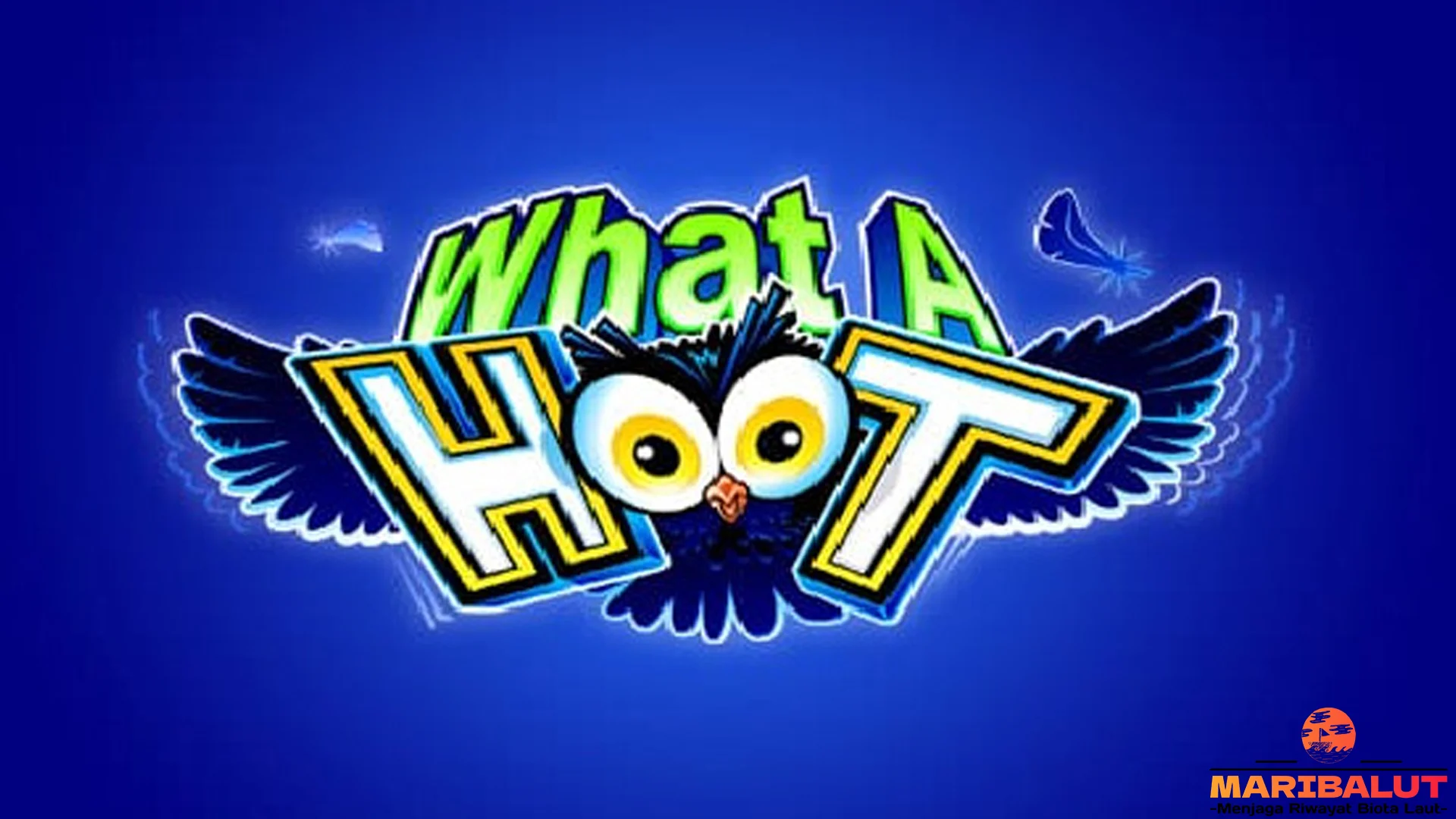 5 Fakta What A Hoot yang Gak Cuma Seru Tapi Juga Edukatif