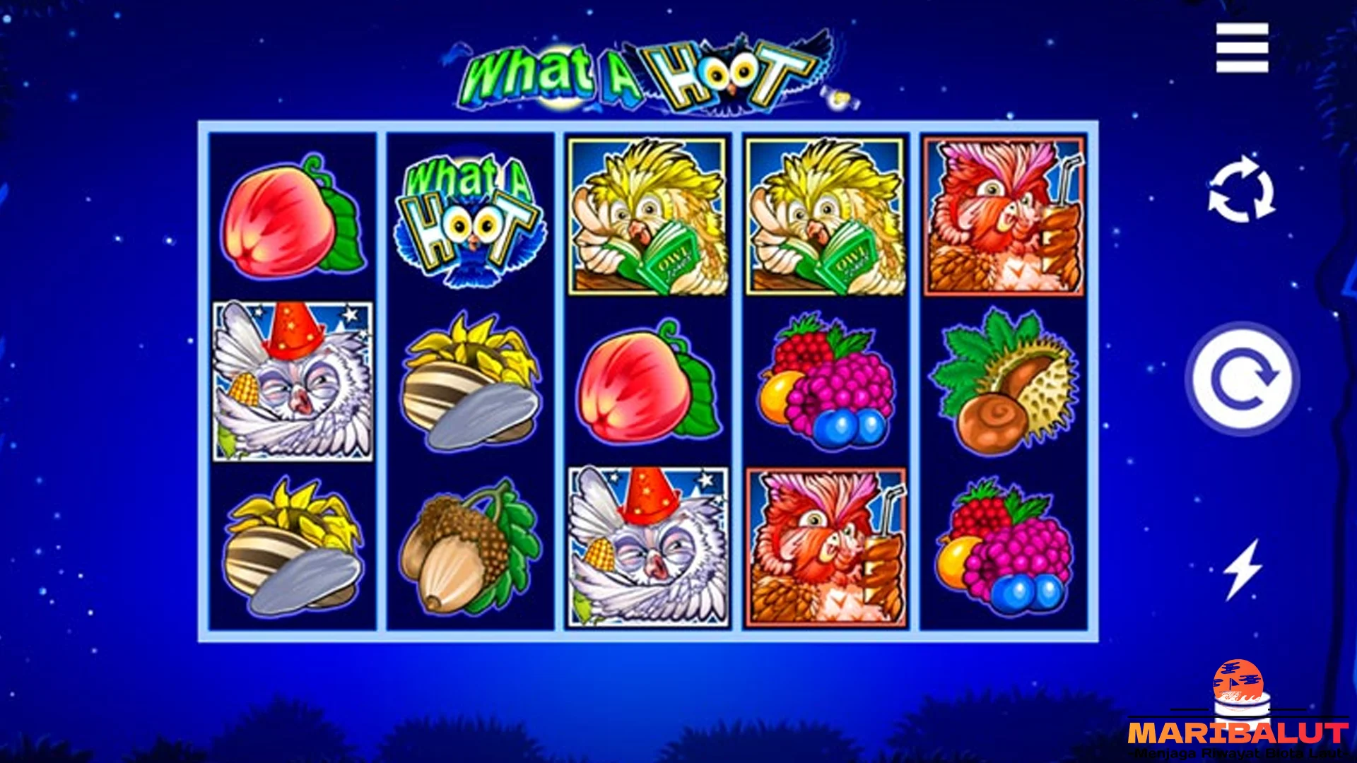 5 Fakta What A Hoot yang Gak Cuma Seru Tapi Juga Edukatif