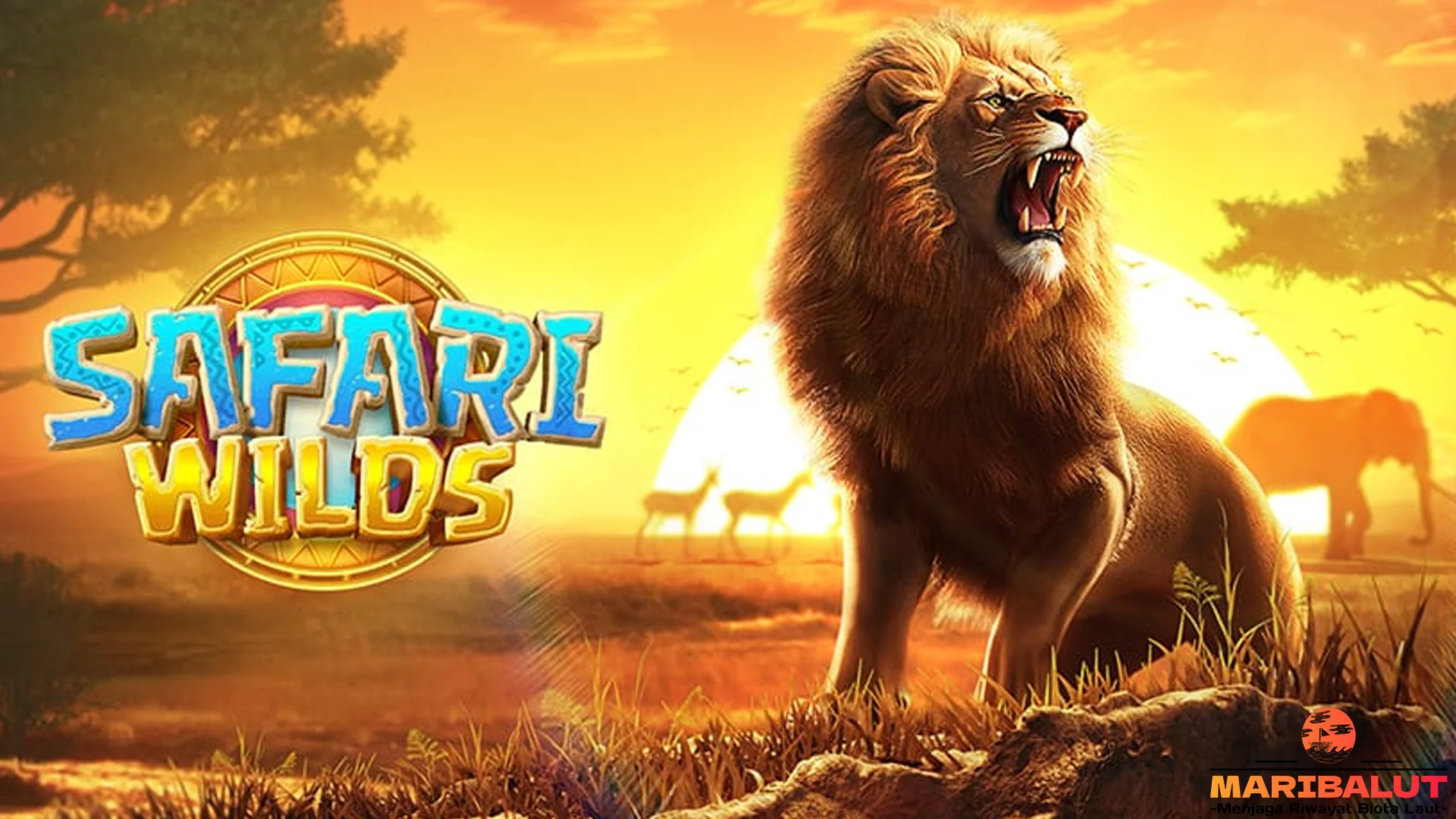 Nuansa Petualangan di Safari Wilds Autentik, 5 Sentuhan Ini Kunci Asli